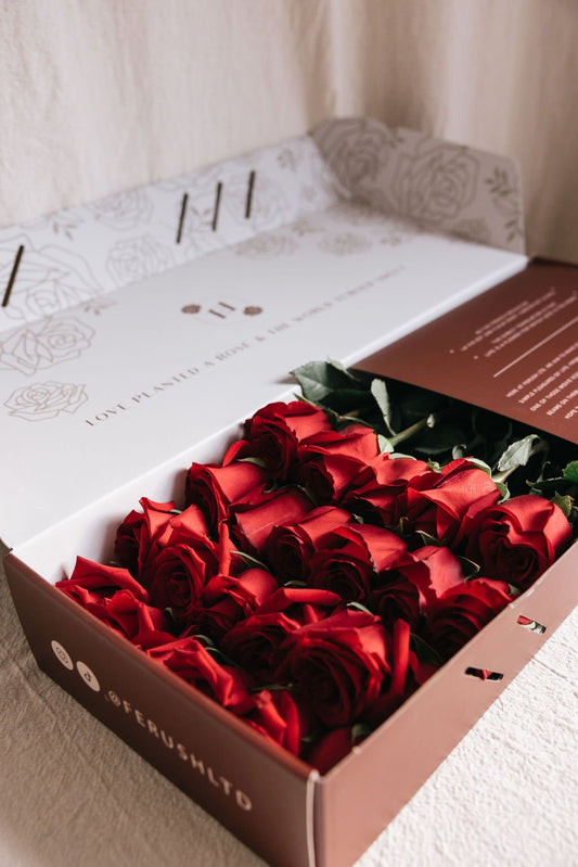 Ferush In Love Collection - Medium